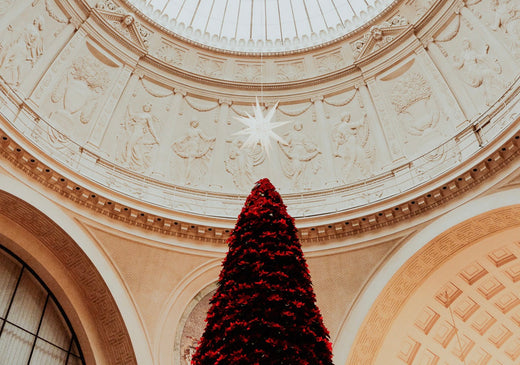 Der Glanz von Weihnachten – und was darunter verborgen bleibt