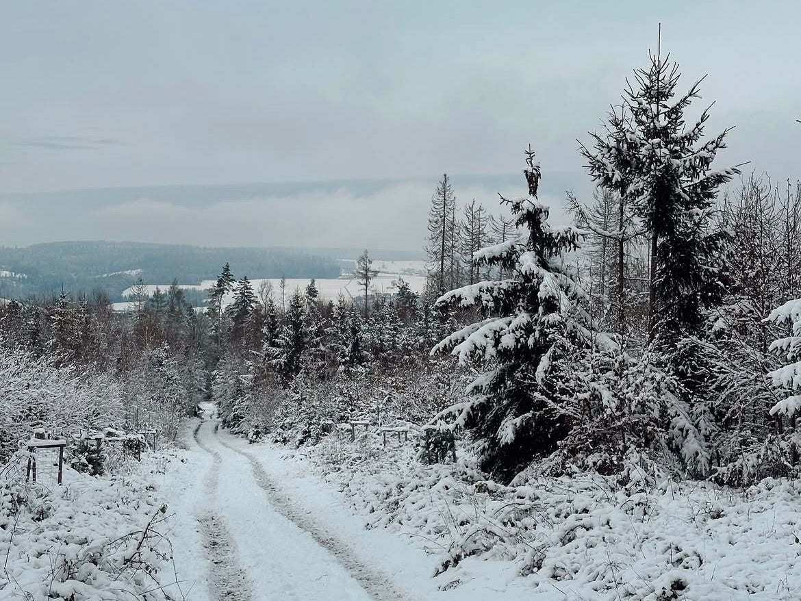 Die Magie des Winters: Was wir von der Natur lernen können